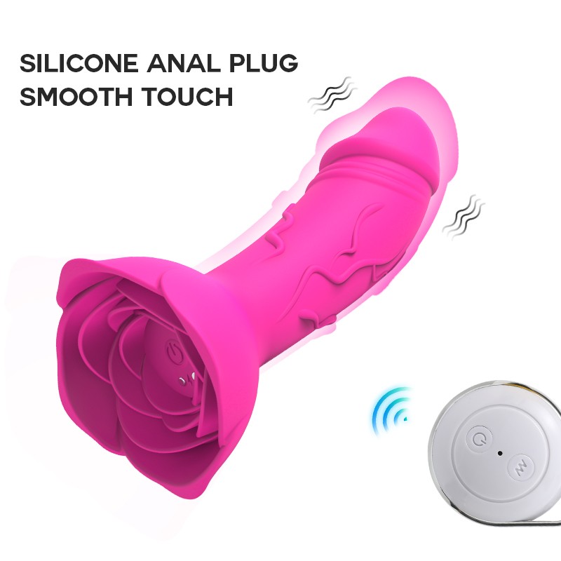V51 vibrator